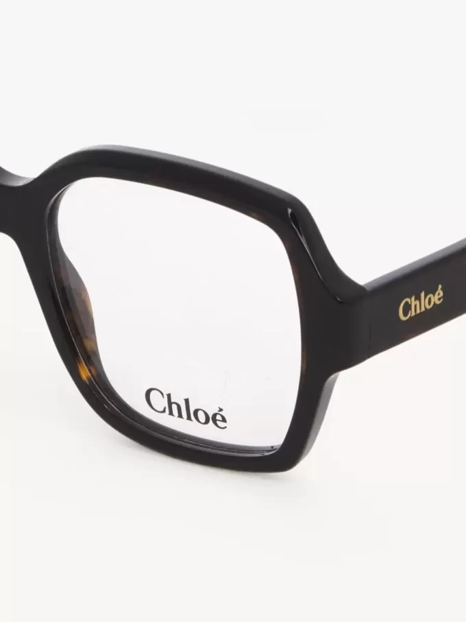 Gayia eyeglasses