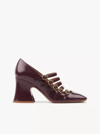 Janis pump