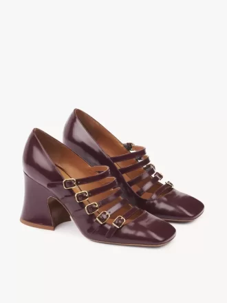 Janis pump