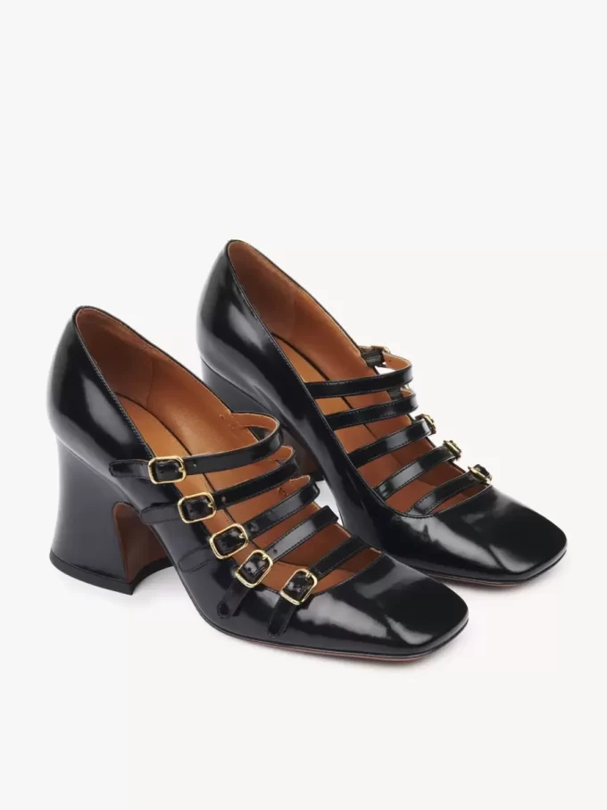 Janis pump