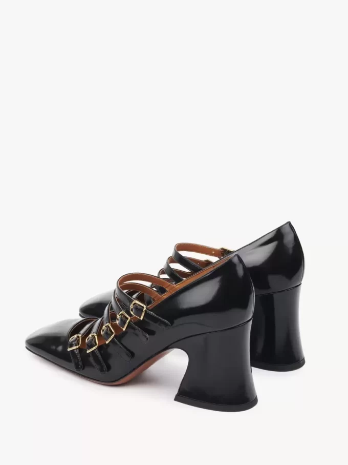Janis pump