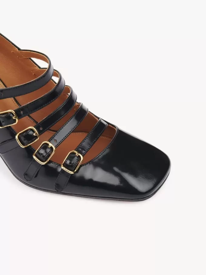 Janis pump