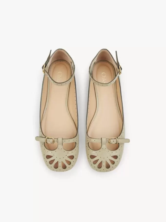 Misty ballerina
